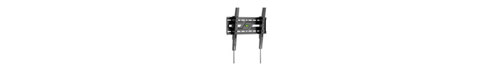 MP3